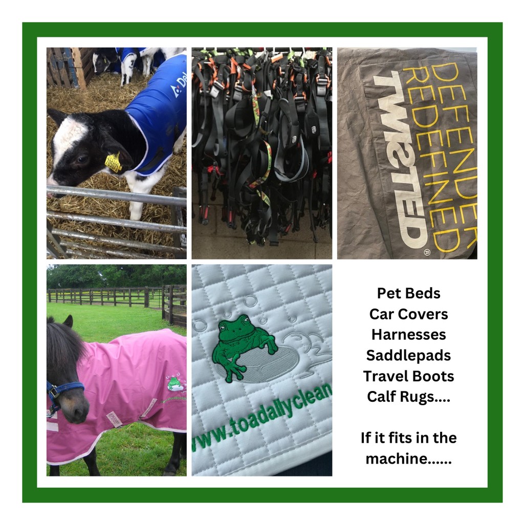 Toadally doesn’t just clean rugs 😱😊